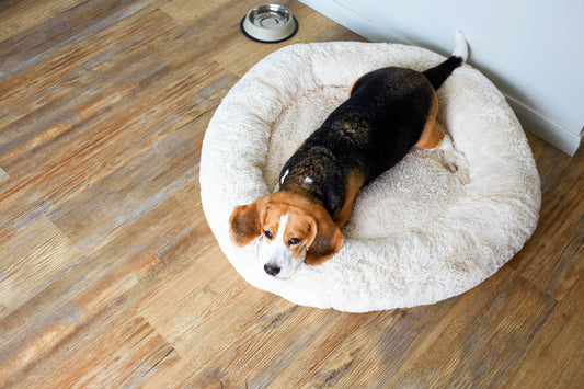 Pet bed