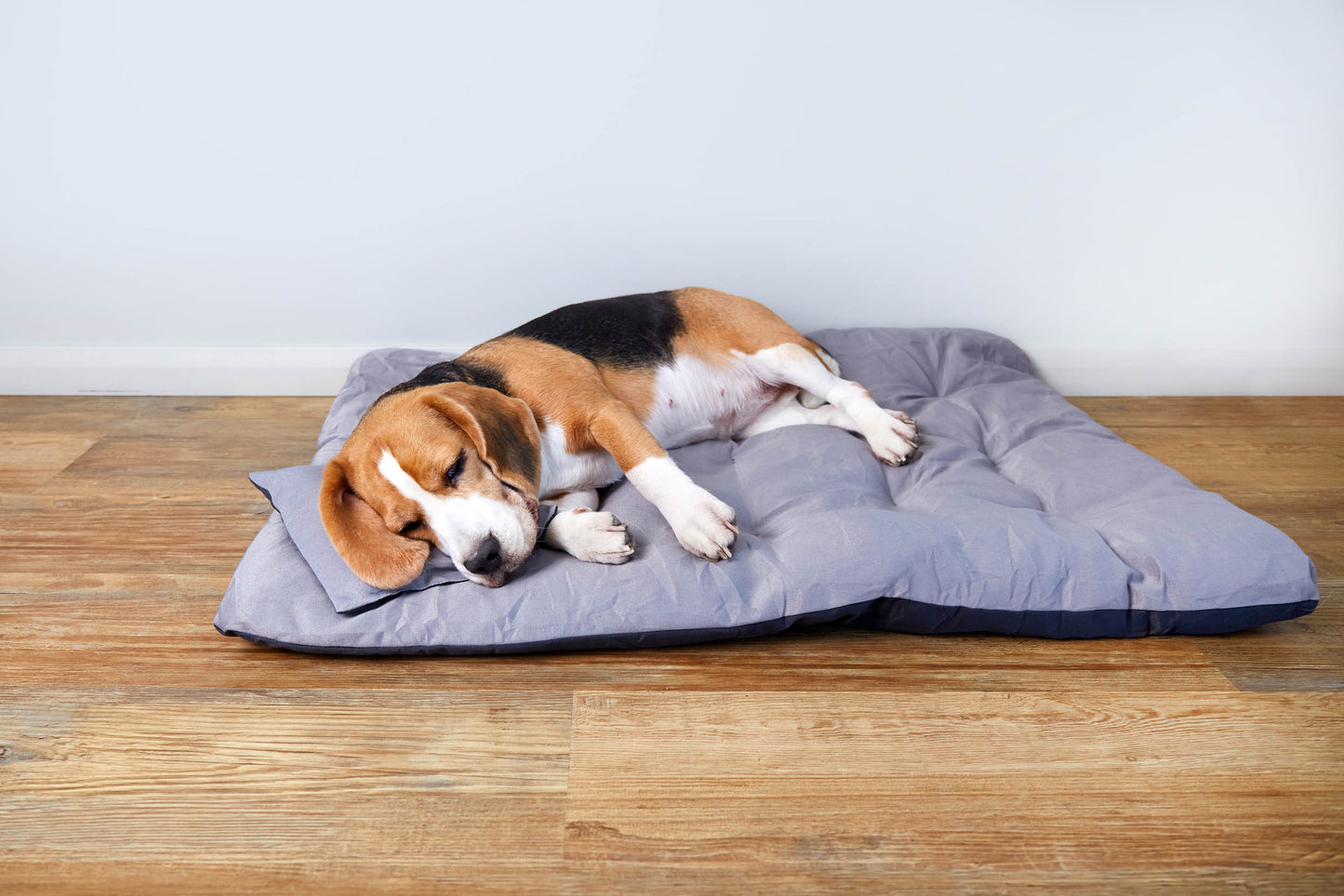 Pet bed