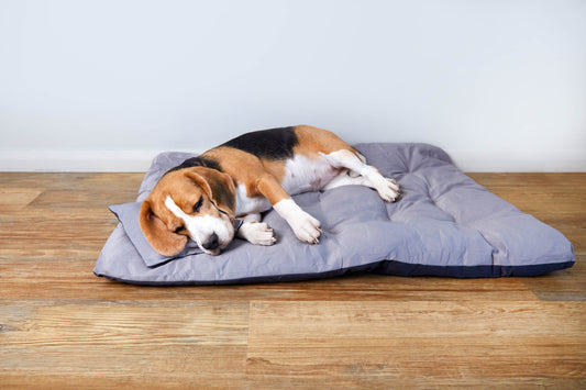 Pet bed