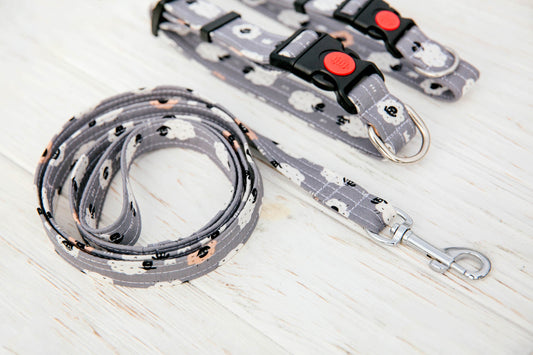 Pet leash