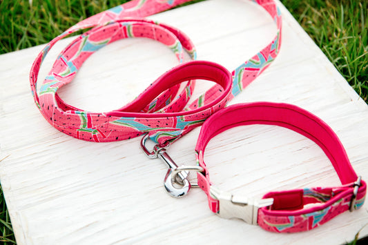 Pet leash