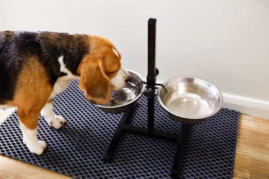 Pet Mat