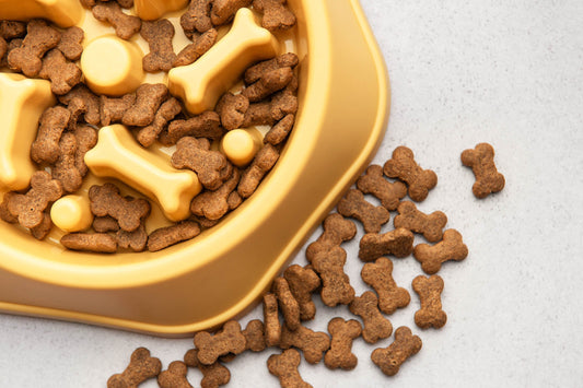 Pet bowl