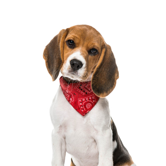 Pet Bandana