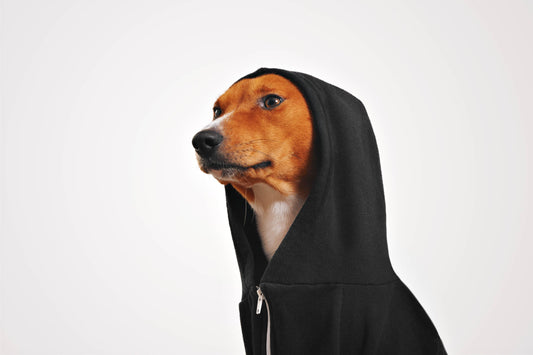 Pet Hoodie black