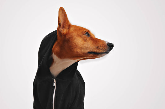 Pet Hoodie black
