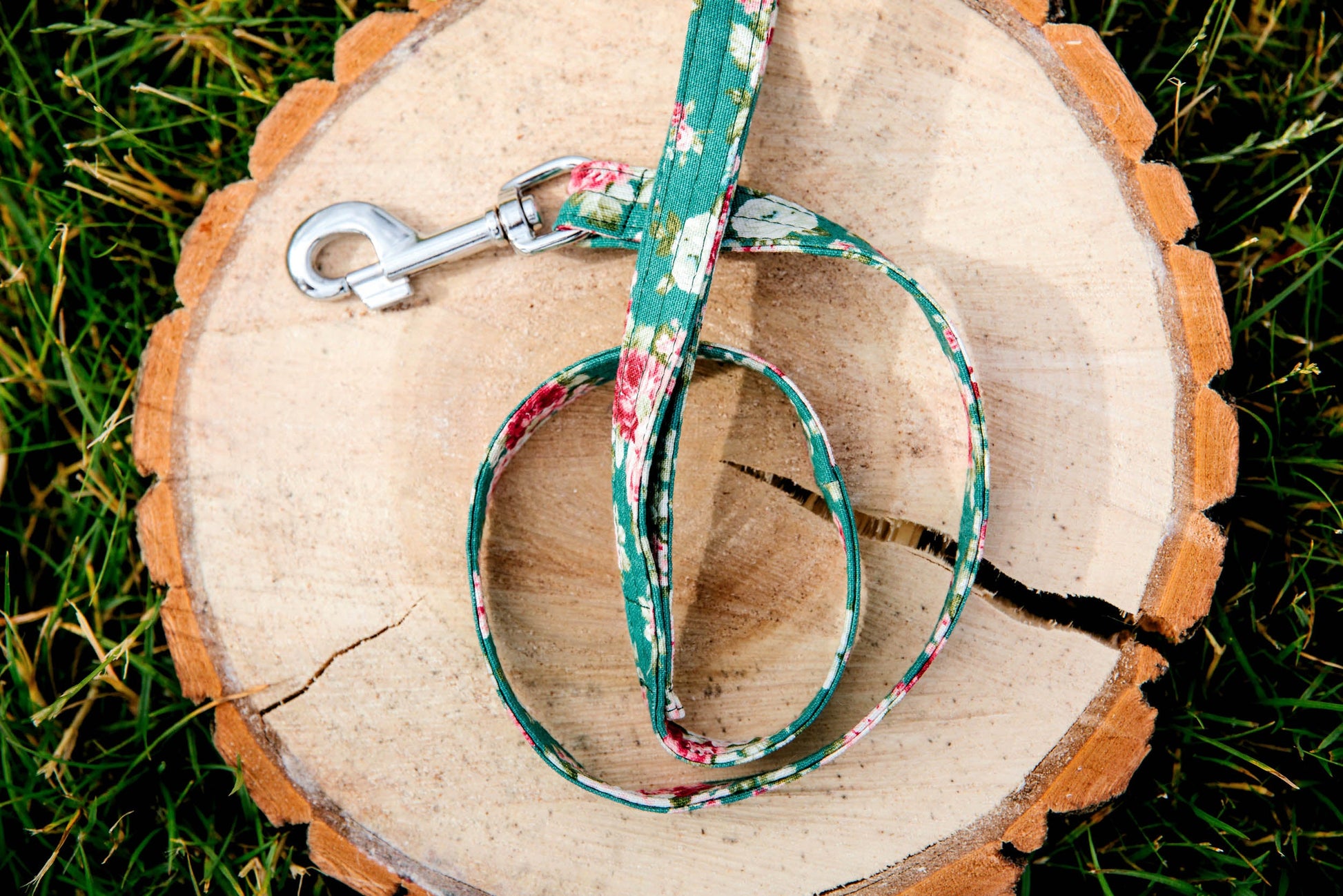 Pet leash