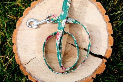 Pet leash