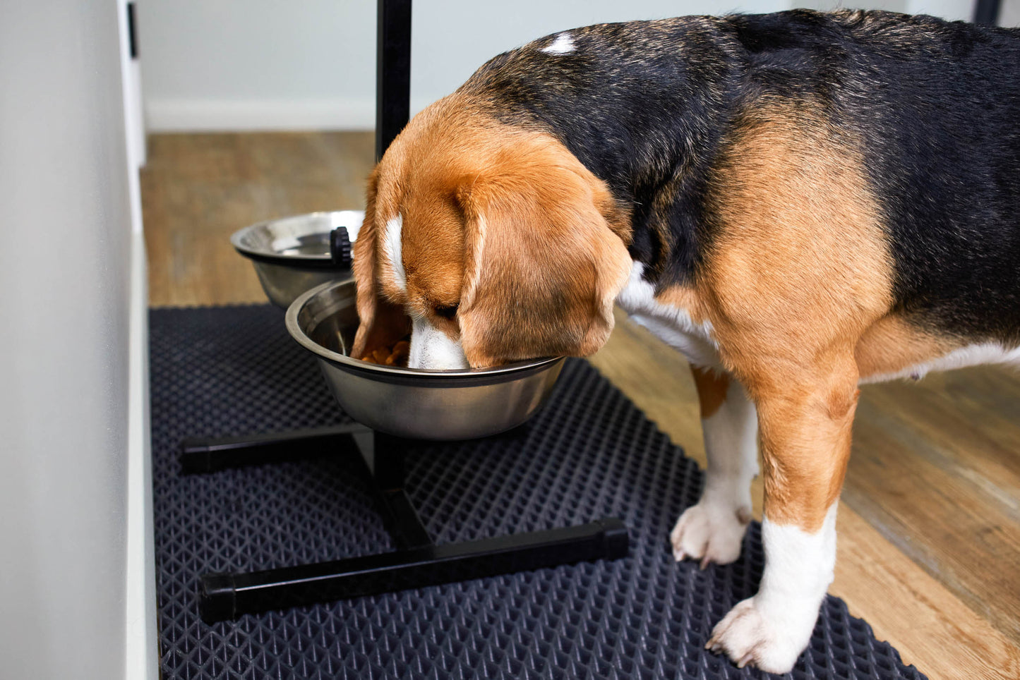 Pet Mat