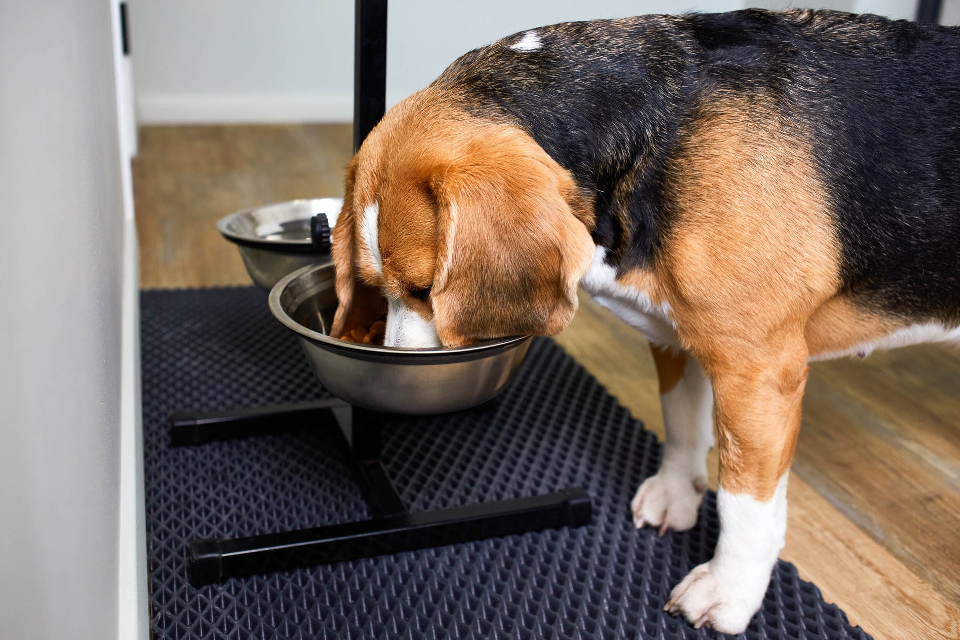Pet Mat