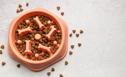 Pet bowl